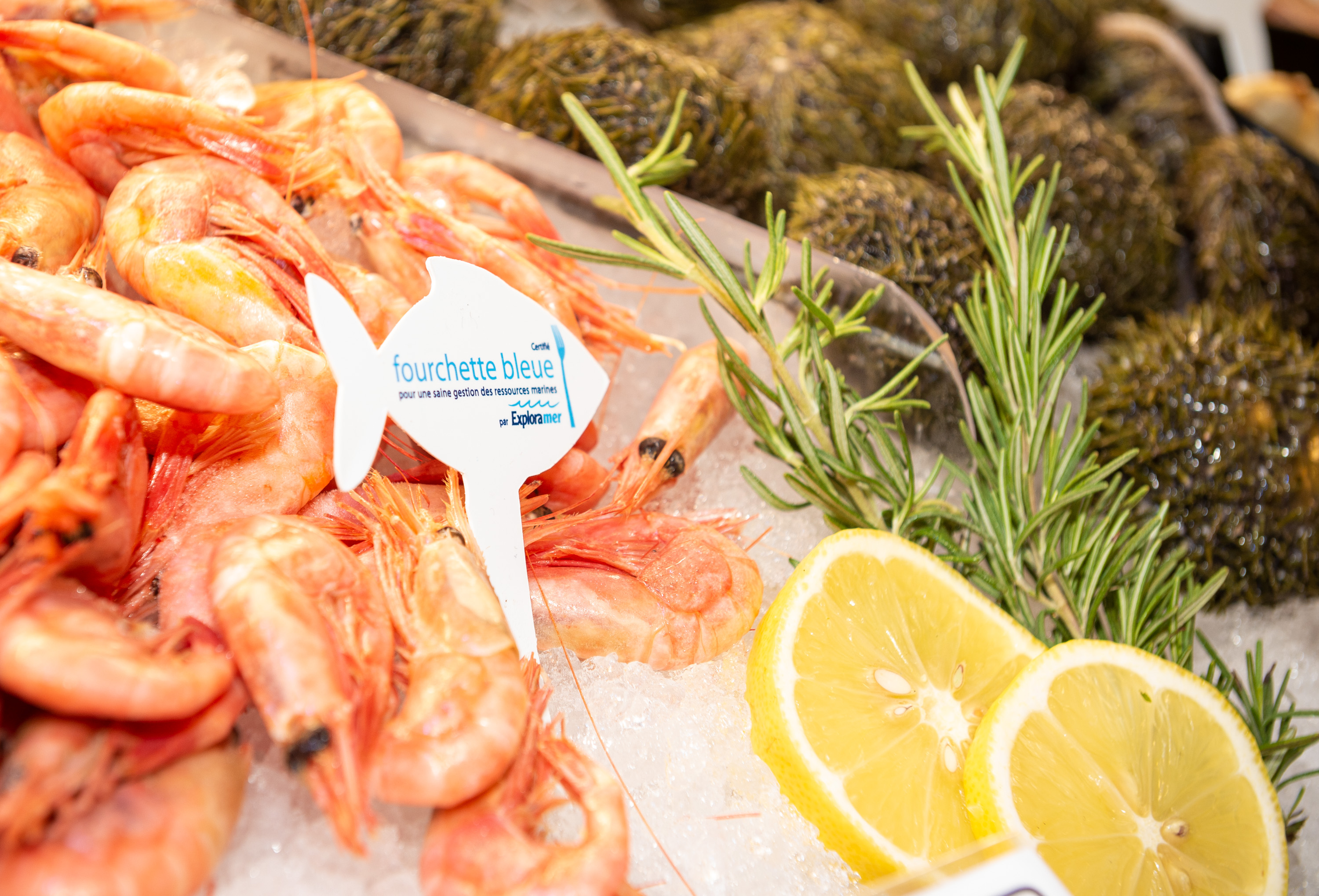 Smarter Seafood certification extended to all Metro stores in Quebec